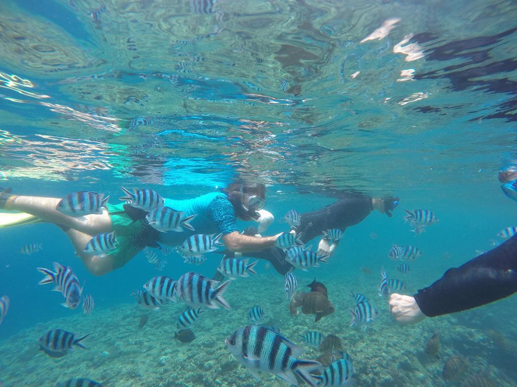 Tropical Surf House Okinawa Hotel Onna Exterior photo